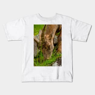 Ibex Kids T-Shirt